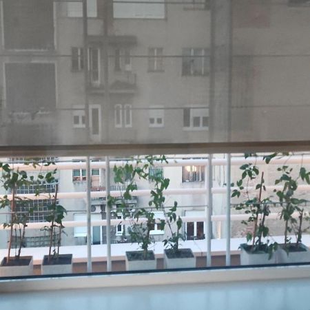 Artissimo Roofterace Lägenhet Zagreb Exteriör bild